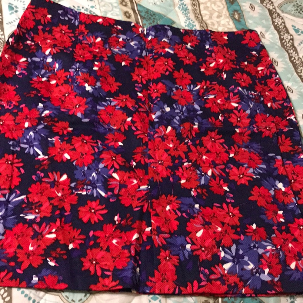 Paisley Skirt